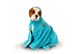 Show Tech+ Dry Dude Turquoise Pet Towel Полотенце из микрофибры для собак и кошек