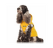 Дощовик для собак з капюшоном Milk&Pepper Babord Raincoat жовтий, Розмір 32