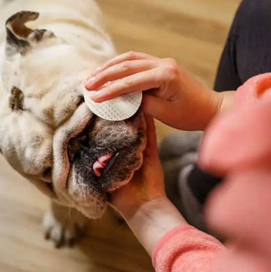Eye Envy Bulldog Wrinkle Wipes - Серветки для гігієни складочок бульдога упаковка 60 шт