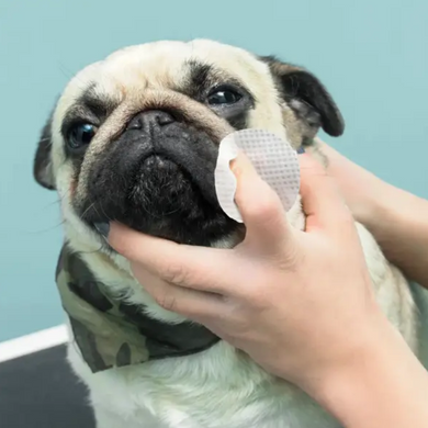 Eye Envy Bulldog Wrinkle Wipes - Серветки для гігієни складочок бульдога упаковка 60 шт