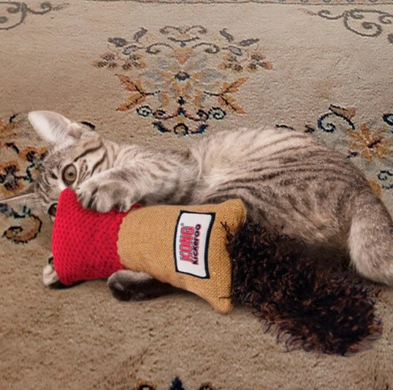 Kong Kickeroo Cuddle - Конг игрушка подушка-обнимашка для кошек