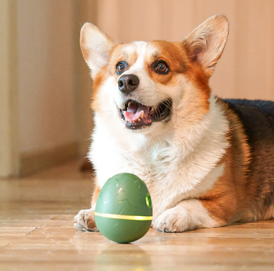 Cheerble Wicked Green Egg - Интерактивное игрушечное яйцо для собак, зеленое