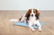 Trixie Cooling Mat Blue - Коврик охлаждающий для собак и кошек 40 х 30 см