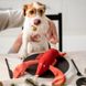 Harley and Cho - Мягкая игрушка из ткани Лобстер Себастьян для собак