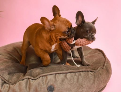 Harley and Cho - М'яка іграшка з тканини Сосисочки для собак