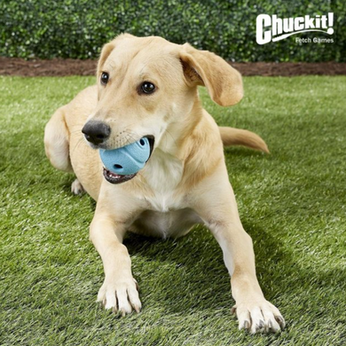 Chuckit The Whistler - Игрушка свистящий мяч с отверстиями для собак - M
