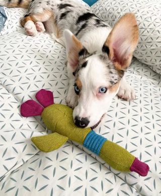 Harley and Cho - М'яка іграшка з тканини Гусак Хосе Карлос для собак