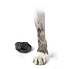 Pawz Protex - Гумове взуття для собак, чорне 2 шт M