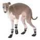 GF Pet Booties Charcoal Grey Чоботи для собак сірі L