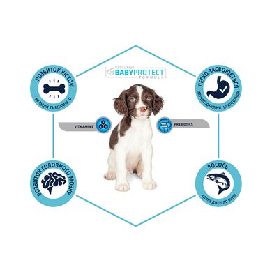 Advance Dog Med/Maxi Sensitive Salmon&Rice - Корм для взрослых собак с чувствительным пищеварением лосось и рис