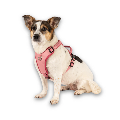 Max & Molly Smart ID Sport Harness Matrix 2.0 Rose/S - Шлейки Матрикс розового цвета