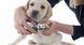 CHI For Dog Standard Nail Clippers Стандартные кусачки для когтей для собак