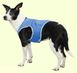 Cooling Vest Охлаждающая попона для собак