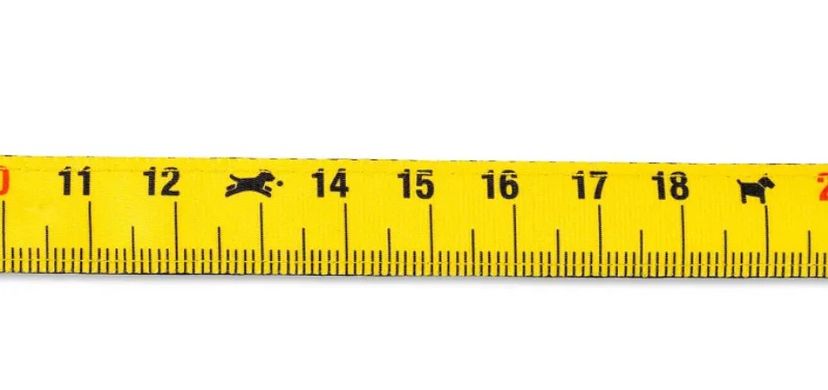 Max & Molly Short Leash Ruler/XS - Короткий поводок Линейка