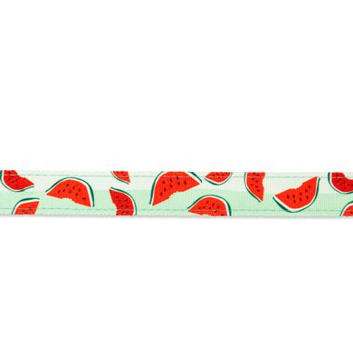 Max & Molly H-Harness Watermelon/XS - Анатомічна шлейка Н/Y з принтом Кавунчиків