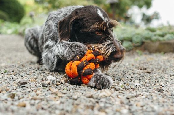 P.L.A.Y. Honeycomb Rope Toy - Плетеная верёвочная игрушка "Ханикомб". для собак.