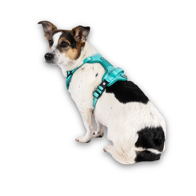 Max & Molly Smart ID Sport Harness Matrix 2.0 Turquoise/S - Шлейки Матрикс бирюзового цвета