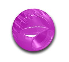 Bionic Opaque Ball - Біонік Бон надміцний м'яч для собак, фіолетовий