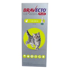 Bravecto Plus - Бравекто Плюс Краплі від бліх, кліщів та глистів для кішок вагою від 1,2 кг до 2,8 кг