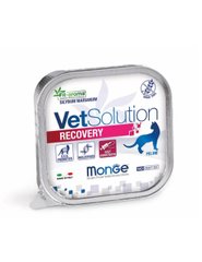 Monge Vetsolution Wet Recovery feline - Ветеринарні консерви для котів у період відновлення та одужання 100 г