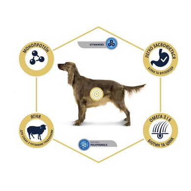 Advance Dog Sensitive Lamb & Rice - Корм для взрослых собак с ягненком и рисом