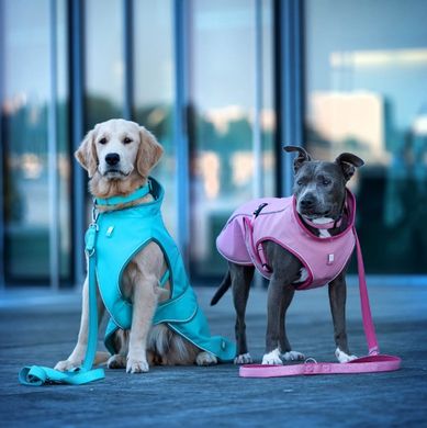 Дощовик для собак Max & Molly Raincoat Matrix 2.0 Turquoise, бірюзовий, XXS