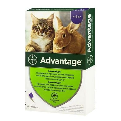 Advantage (Адвантейдж) капли на холку от блох для кошек и декоративных кроликов весом больше 4 кг, 1 пипетка