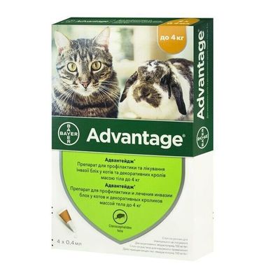 Advantage (Адвантейдж) капли на холку от блох для кошек и декоративных кроликов весом больше 4 кг, 1 пипетка