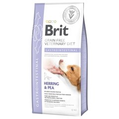 Brit GF Veterinary Diet Dog Gastrointestinal - Беззерновий сухий корм при порушеннях травлення для собак з оселедцем, лососем, горохом 12 кг