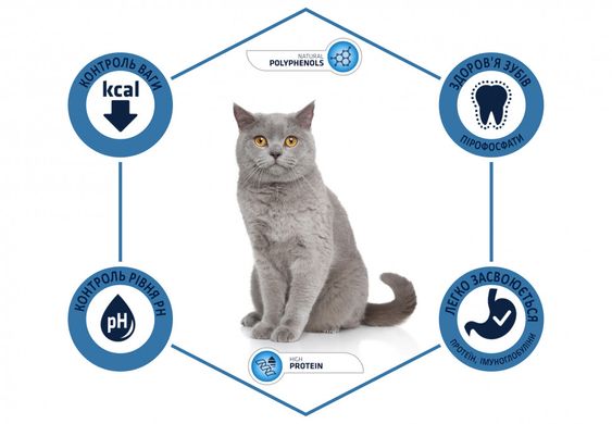 Advance Cat Sterilized - Корм для стерилизованных кошек с индейкой
