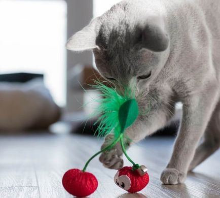 Petstages Dental Cherries Іграшка для котів Вишні