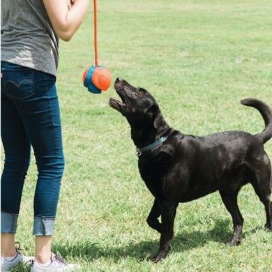 Chuckit! Rope Fetch - Мяч на веревке для игры с собаками.