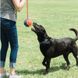 Chuckit! Rope Fetch - Легкий мяч на веревке для собак