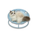 Сложенный лежак для домашних животных Misoko Pet bed round, 45x45x22 см, голубой фото 2