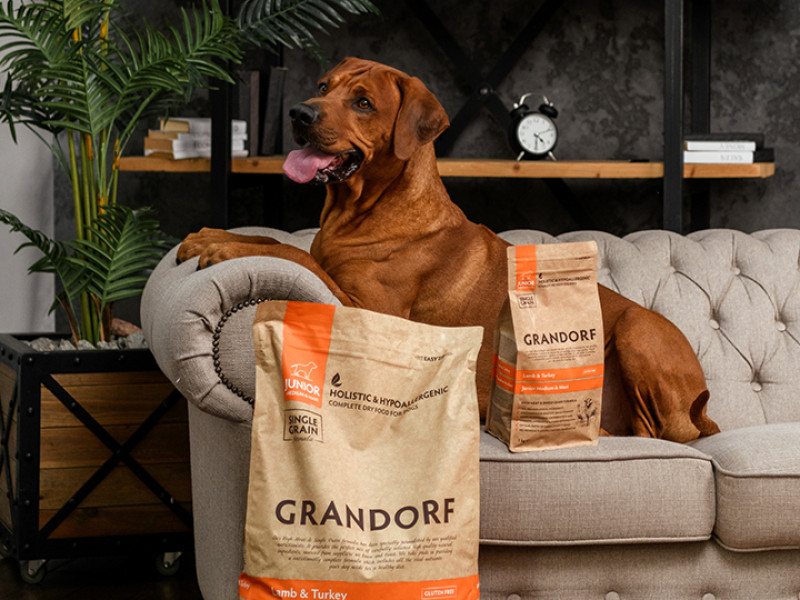 Grandorf является холистическим кормом для собак