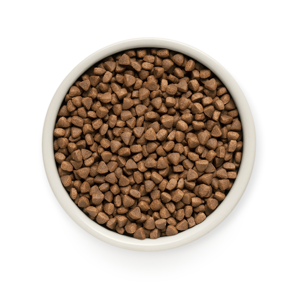 Grandorf Four Meat Ault Indoor корм для дорослих котів, з м'ясом - 6 кг