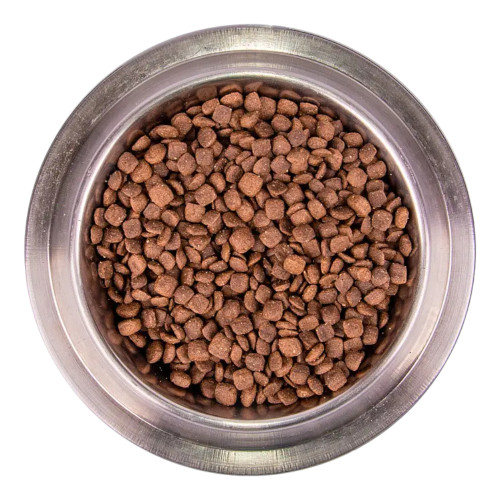 Monge Wild Grain Free Puppy & Junior Duck корм для цуценят, з качкою - 15 кг