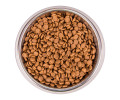 Monge Cat Kitten корм для кошенят, з фореллю - 400 г