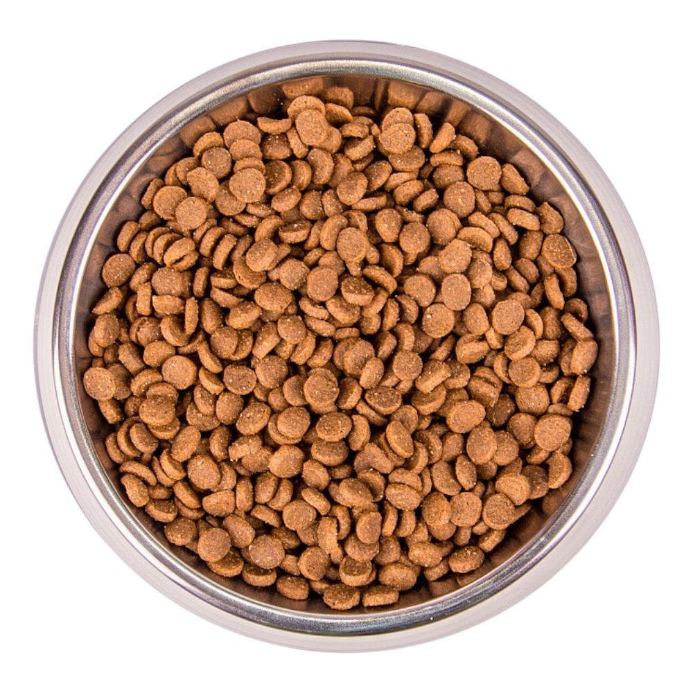 Monge Cat Kitten корм для котят, с форелью - 1,5 кг