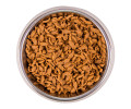 Monge Cat Adult Salmon корм для котів, з лососем - 1,5 кг