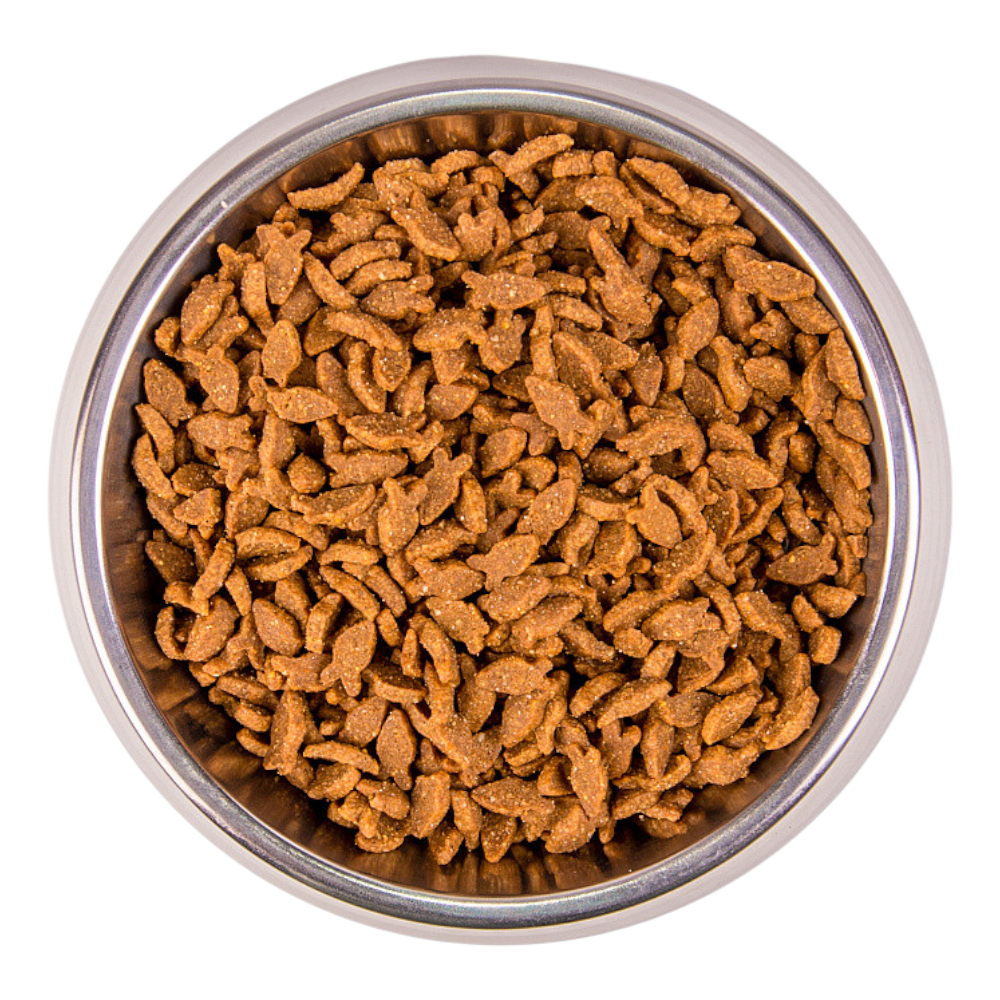 Monge Cat Adult Salmon корм для котів, з лососем - 10 кг