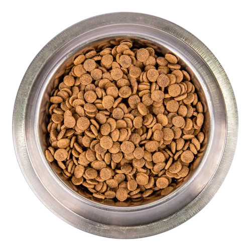 Monge Cat Be Wild Grain корм для кошек, с лососем - 10 кг