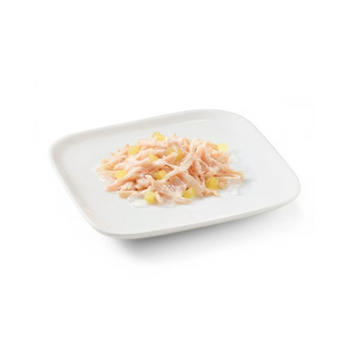Schesir Chicken & Pineapple корм для собак, з куркою та ананасом - 150 г