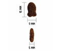 Ownat Classic Cat Adult Fish корм для котів, з рибою - 4 кг