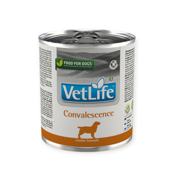 Farmina Vet Life Convalescence диета для взрослых собак при выздоровлении - 300 г