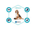 Advance Dog Mother & Initial корм для цуценят, з куркою та рисом - 3 кг