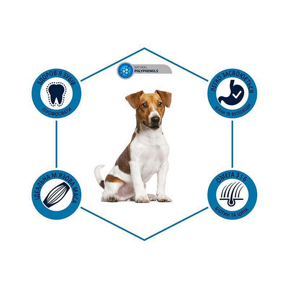 Advance Dog Medium Puppy корм для цуценят середніх порід, з куркою та рисом - 3 кг