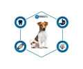 Advance Dog Medium Puppy корм для цуценят середніх порід, з куркою та рисом - 3 кг
