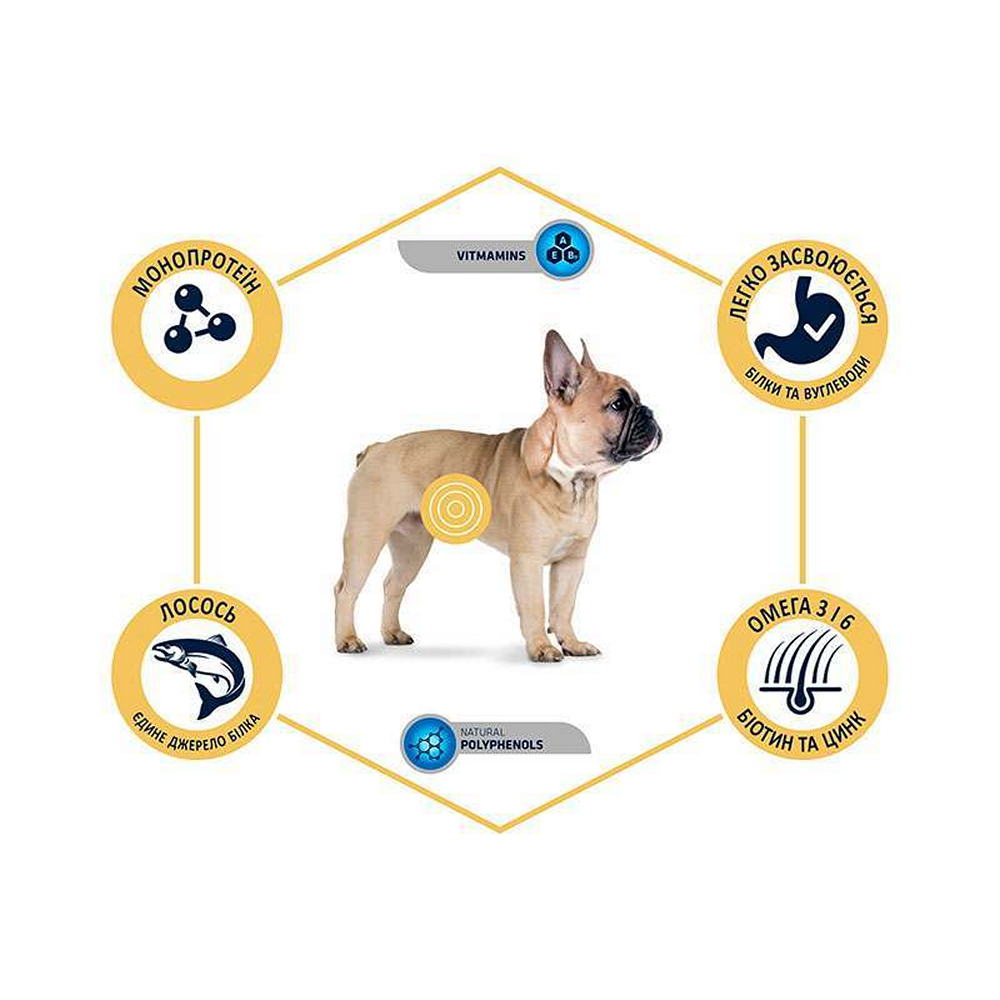 Advance Dog Mini Sensitive корм для собак малих порід з чутливим травленням, з лососем - 700 г