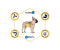 Advance Dog Mini Sensitive корм для собак малих порід з чутливим травленням, з лососем - 700 г